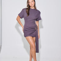 Martini Mini Dress Raisin